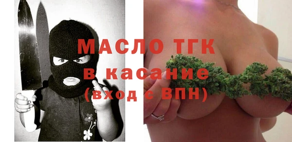 стаф Аркадак
