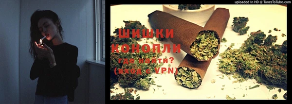 стаф Аркадак