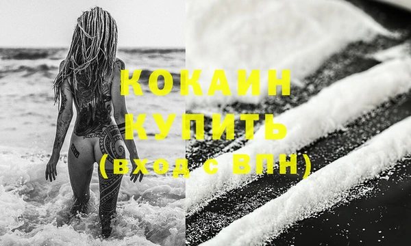 стаф Аркадак