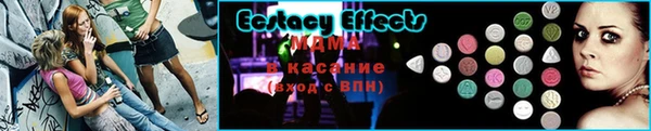 стаф Аркадак