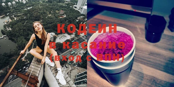 твердый Арсеньев