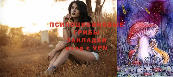 стаф Аркадак