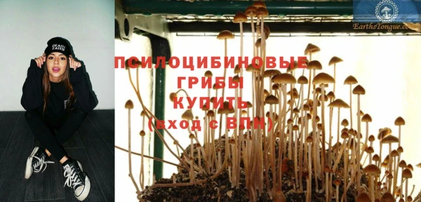 твердый Арсеньев