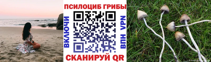 Галлюциногенные грибы ЛСД Пучеж